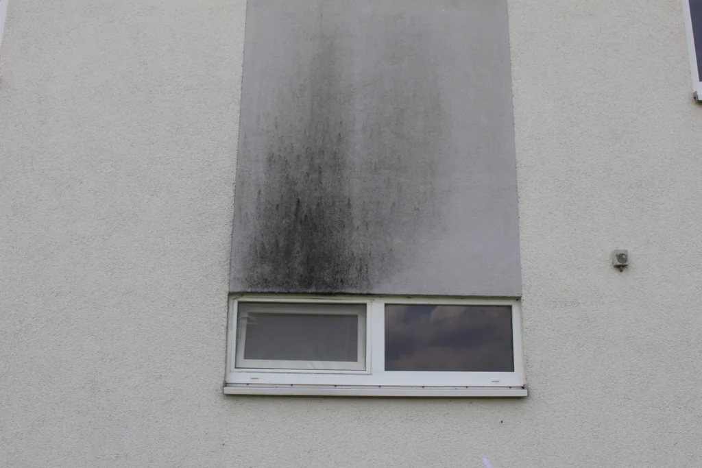Fassade mit starken Verschmutzungen und Feuchtespuren über Fenster – Hinweis auf Feuchtigkeitsschäden und Schimmelbildung