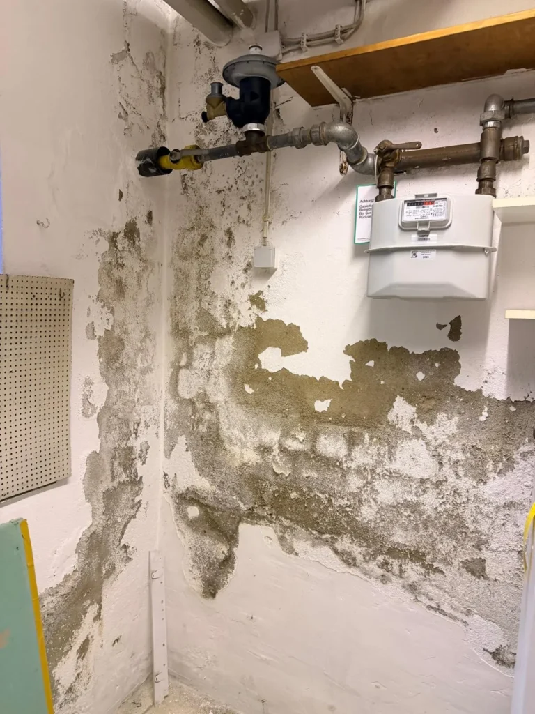 Feuchteschaden an Kellerwand mit Schimmelbildung und abplatzendem Putz im Bereich von Leitungen und Zählerinstallation